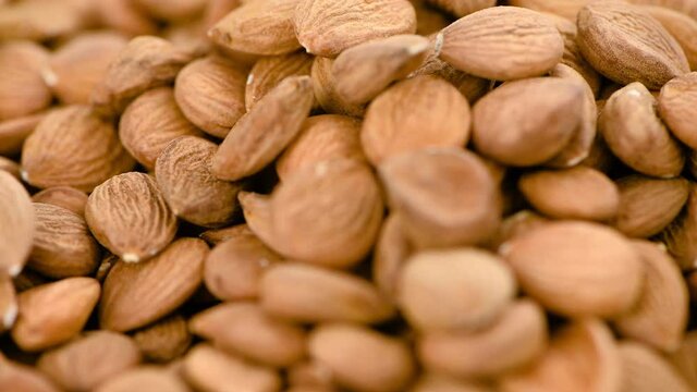 Portion of shelled Apricot Kernels on a rotating plate (seamless loopable)