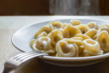 Hot dumplings on a plate (closeup)