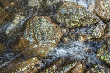 Running water in a small creek