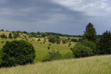 Das Naturschutzgebiet Lange Rhön in der Kernzone des Biosphärenreservat Rhön, Bayerischen Rhön, Landkreis Rhön-Grabfeld, Unterfranken, Bayern, Deutschland