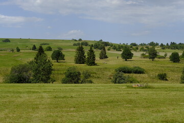 Fototapeta premium Das Naturschutzgebiet Lange Rhön in der Kernzone des Biosphärenreservat Rhön, Bayerischen Rhön, Landkreis Rhön-Grabfeld, Unterfranken, Bayern, Deutschland