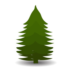 Green Christmas tree on white background