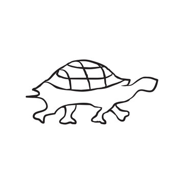 Turtle animal logo design template