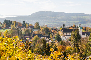 Arlesheim, Dom, Weinberg, Birstal, Birsebene, Dorf, Herbst, Herbstlaub, Herbstsonne, Baselland,...