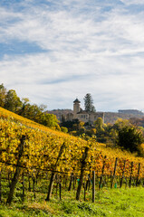 Arlesheim, Weinberg, Schloss Birseck, Burg, Weinrebe, Weinstock, Herbstfarben, Wanderweg, Herbstlaub, Herbst, Baselland, Birstal, Schweiz