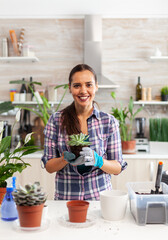 Portrait of happy woman holding succulent plant sitting on the table in kitchen. Woman replanting flowers in ceramic pot using shovel, gloves, fertil soil and flowers for house decoration.