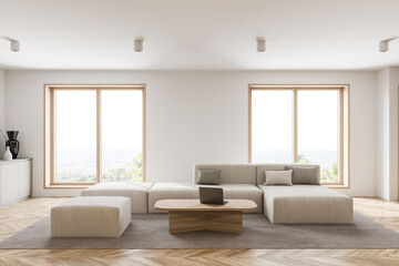 White living room interior with sofa