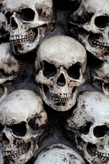 white skull on black background in close-up