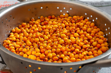Fresh ripe sea buckthorn berries in a bowl close-up. Traditional medicinal product of Chinese medicine.