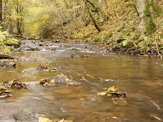 Altbach nahe Neuhütten