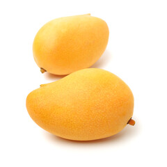 Mango on a white background