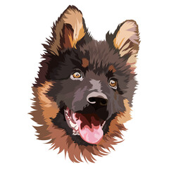 German shepherd puppy. Vector illustration, portrait, head