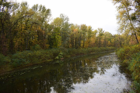 river in autumn