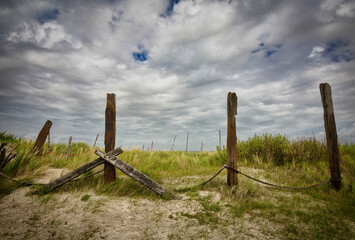 wooden posts in dune landscape