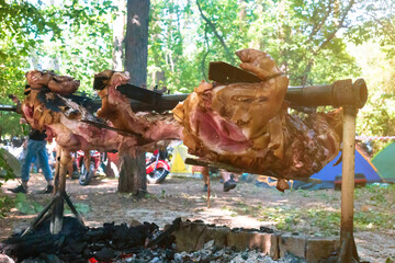 Boar meat grilled on a skewer bonfire