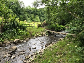 bridge over the river