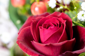 バラの花
