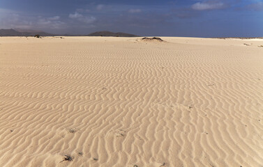 Fuerteventura, Canary Islands, nature park Dunes of Corralejo at the north of the island