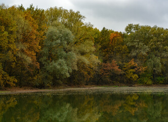 autumn landscape with lake and reflections 