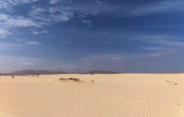 Fuerteventura, Canary Islands, nature park Dunes of Corralejo at the north of the island