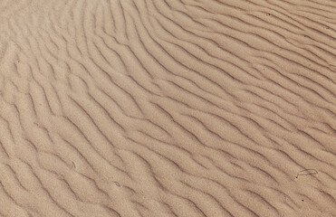 Fuerteventura, Canary Islands, nature park Dunes of Corralejo at the north of the island