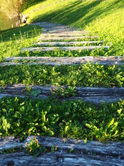 Photo couleur d'un chemin dans l'herbe, composé de planches de bois, brindilles, nature, route,...