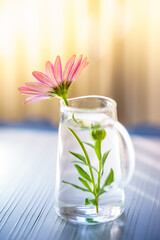 デイジーの花　水滴