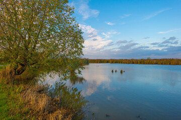 The edge of a lake in autumn colors under a blue cloudy sky at fall, Almere, Flevoland, The Netherlands, October 31, 2020