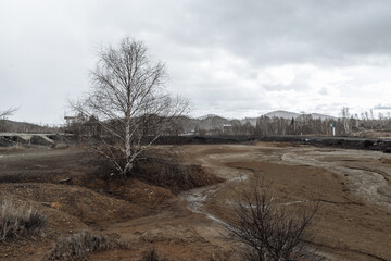 poor ecology in the world, arid, scorched landscapes with bare trees and a yellow river, polluted land