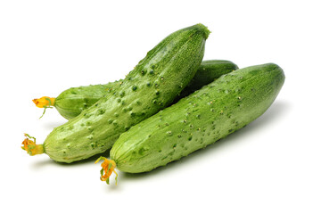 cucumbers isolated on white background