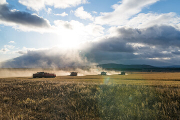 The harvesting machine is working on the field. Combine harvester agricultural machine for harvesting Golden ripe wheat in the field. Agriculture, farming