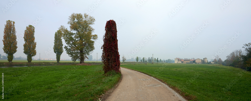 Canvas Prints campagna lodigiana