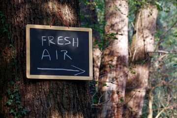 Signboard to fresh air in the park