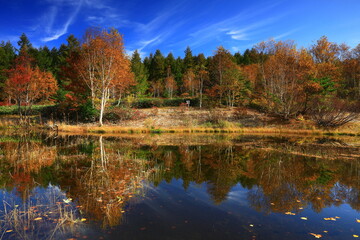 紅葉の安比高原