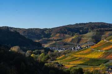 Obraz premium Hiking in the Ahr valley on a sunny autumn day on the red wine trail