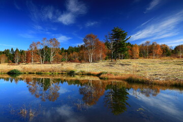 紅葉の安比高原