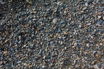 Background of small colorful sea pebbles texture