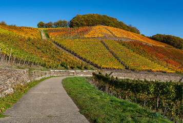 Hiking in the Ahr valley on a sunny autumn day on the red wine trail