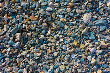 Background of small colorful sea pebbles texture
