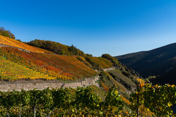 Hiking in the Ahr valley on a sunny autumn day on the red wine trail