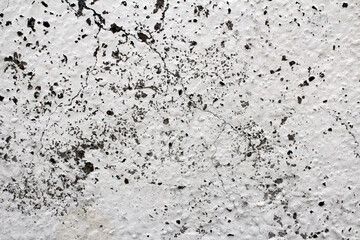 Concrete background. Concrete gray wall