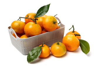 tangerine orange on white background 