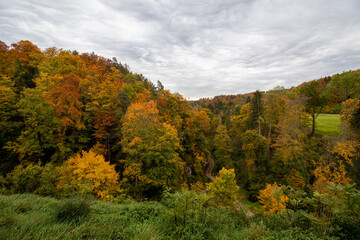 Die bunten Wälder im Herbst