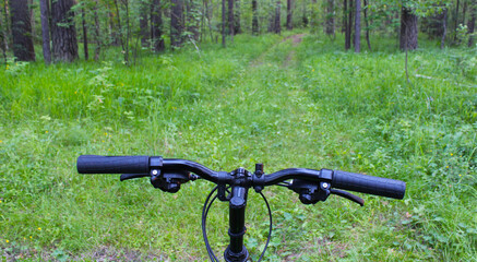 Fototapeta na wymiar View of the forest with a bicycle wheel