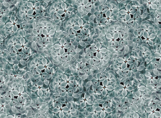 Spring  turquoise-gray  lilac bouquet. Nature