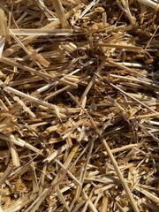 Straw in Close-Up