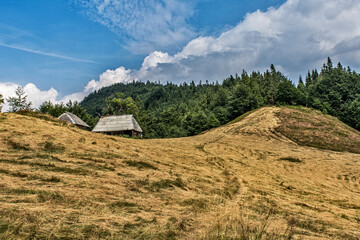 krajobraz, góra, lato, bezdroża, las, szlak, piesze wycieczki, niebo, chmury