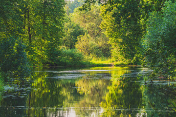 Forest lake with reflection of trees in the water