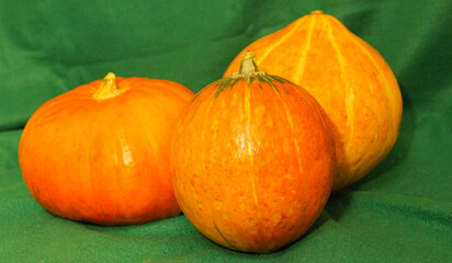 Halloween pumpkins on green background