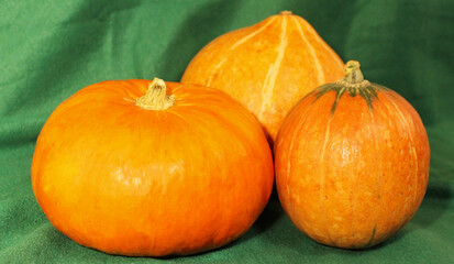 Halloween pumpkins on green background